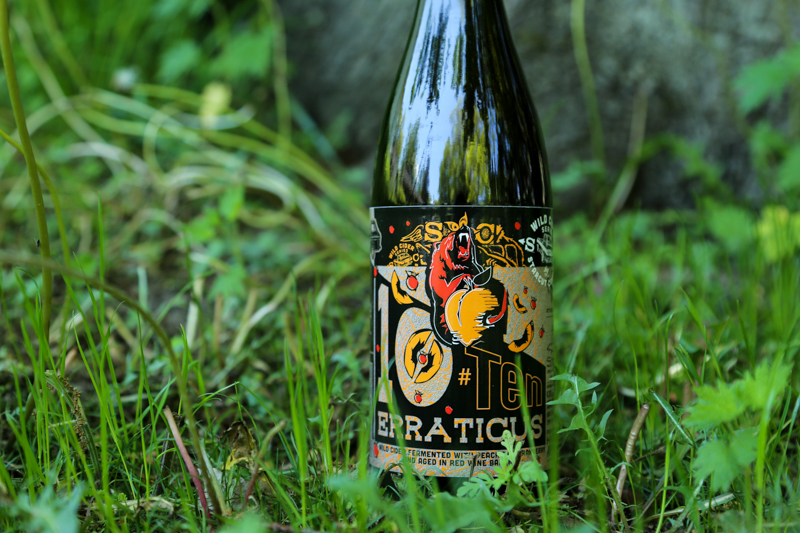 Walk on the Wild Side with Erraticus 10